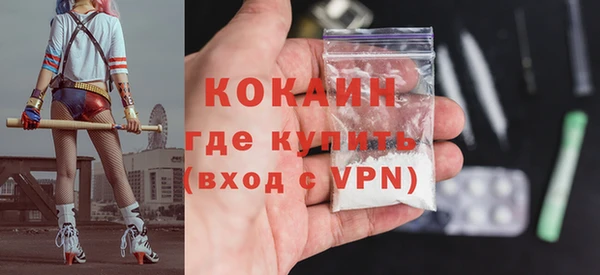 шишки Алексин