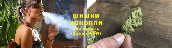 шишки Алексин