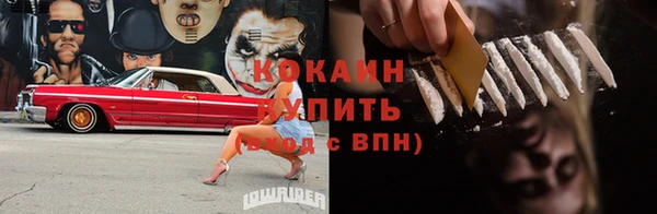 стаф Гусев