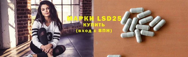 шишки Алексин