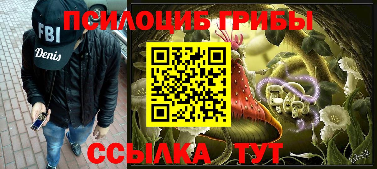 Псилоцибиновые грибы MAGIC MUSHROOMS  Вход с VPN  Сатка 